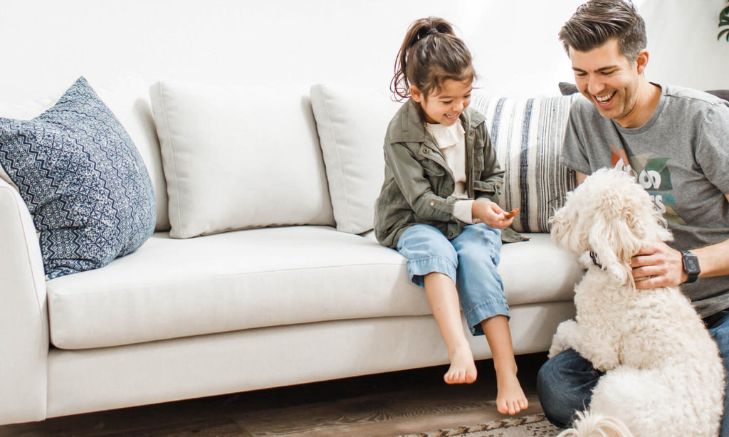 Dekayess Bumper Sectional