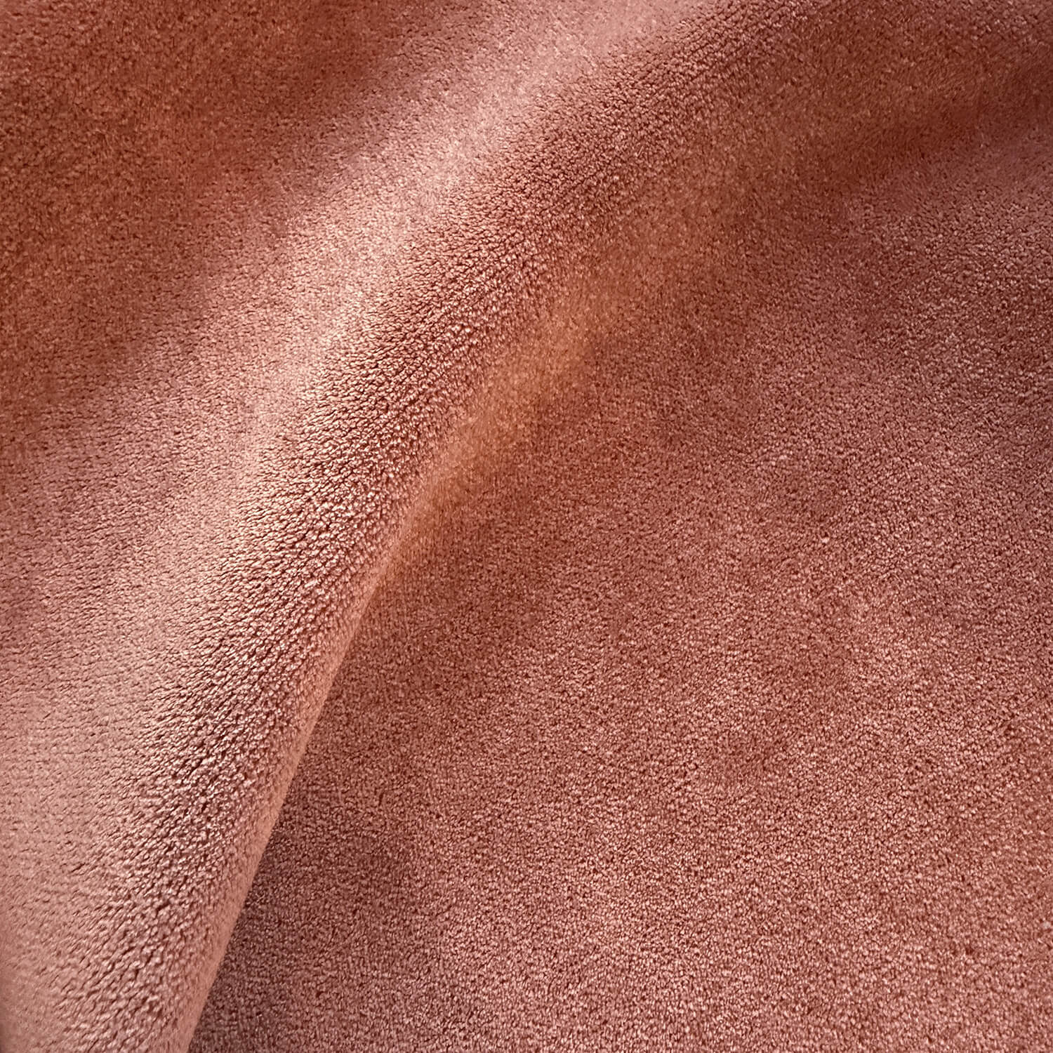 Aster Clay Velvet