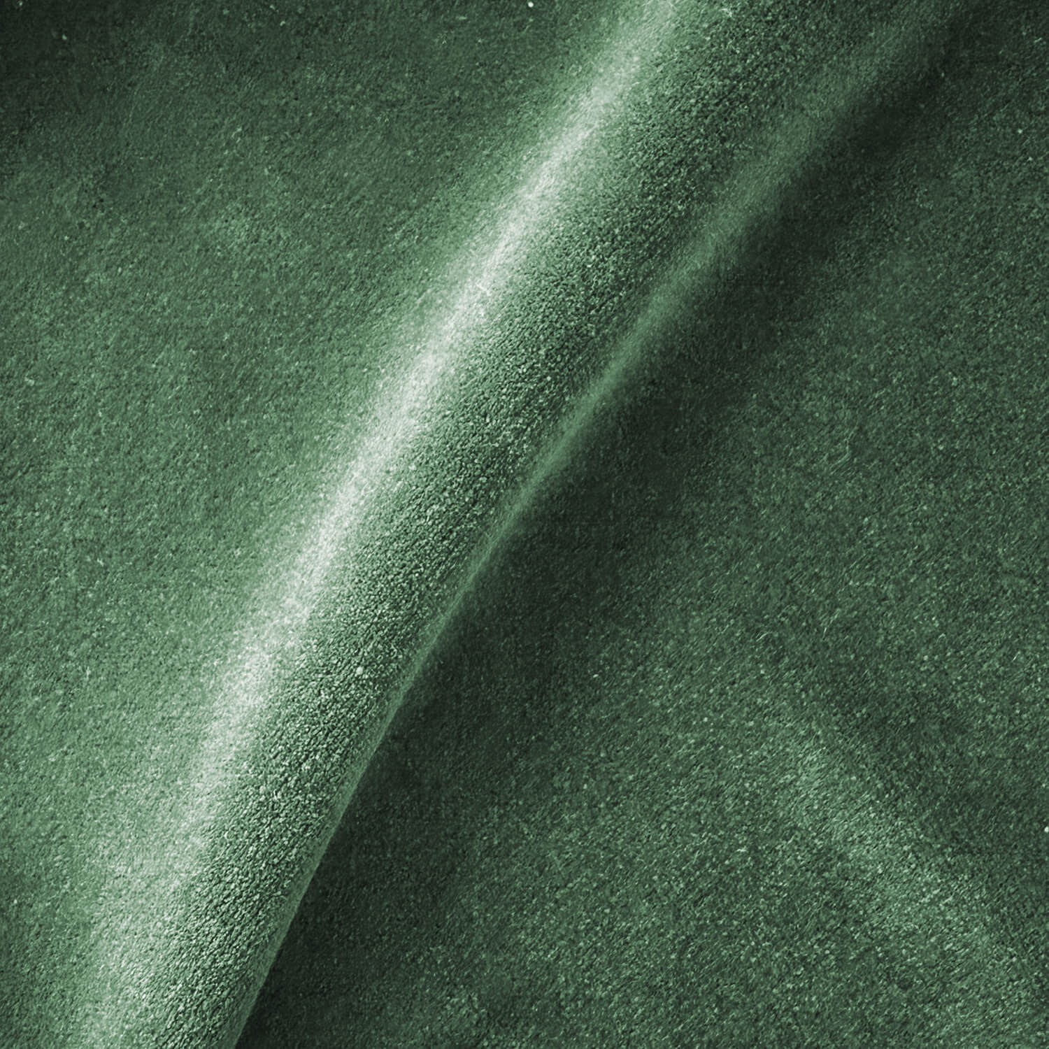 Aster Fern Velvet