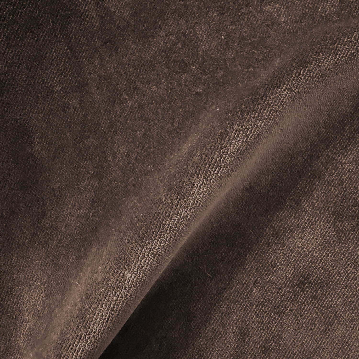 Aster Mink Velvet