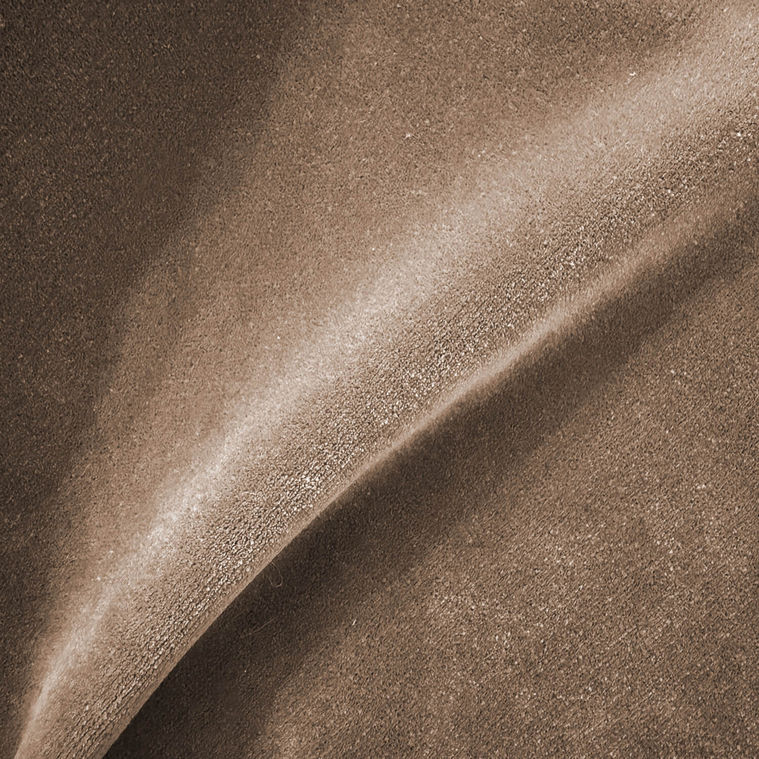 Aster Taupe Velvet
