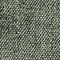 Willow Chenille Lichen